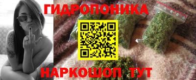 крисы Краснодар