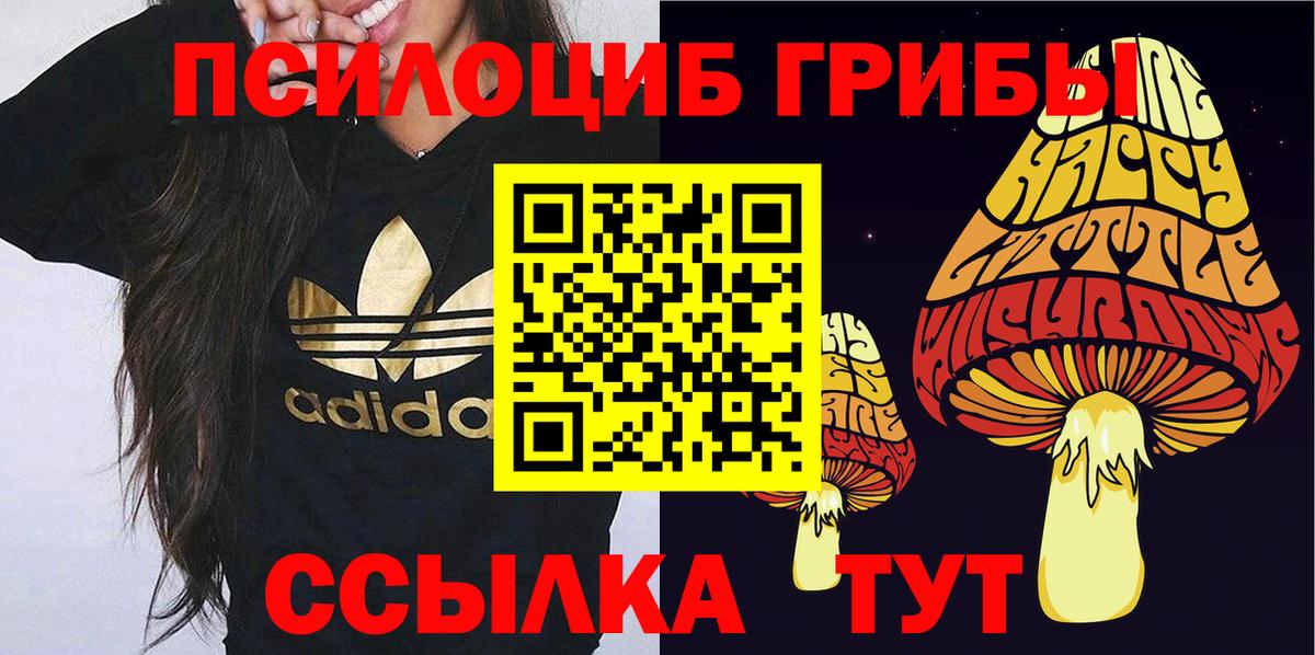 Псилоцибиновые грибы Cubensis Ковров