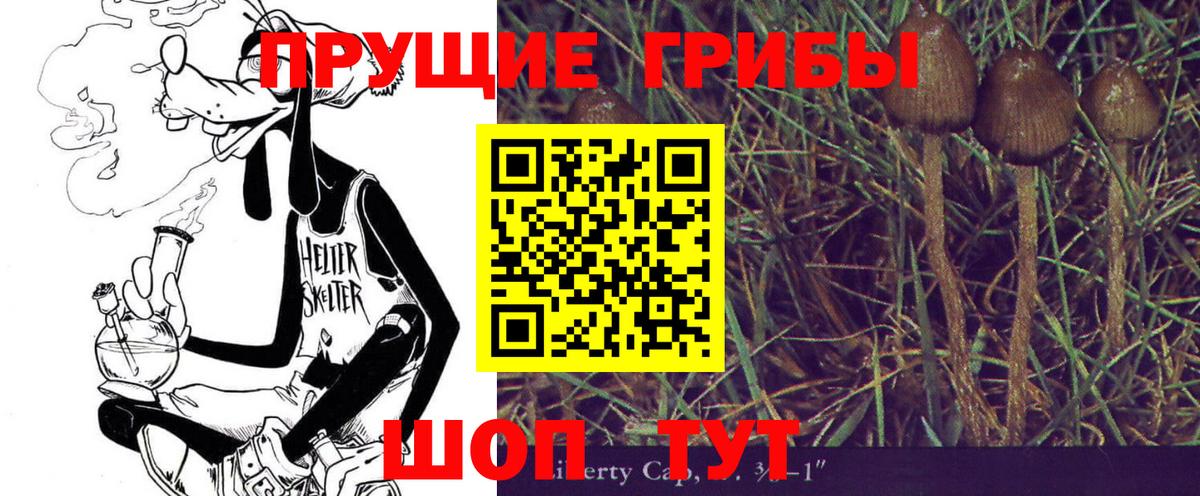 Галлюциногенные грибы Psilocybine cubensis  Псилоцибиновые грибы мухоморы  Вход с VPN  Ковров 
